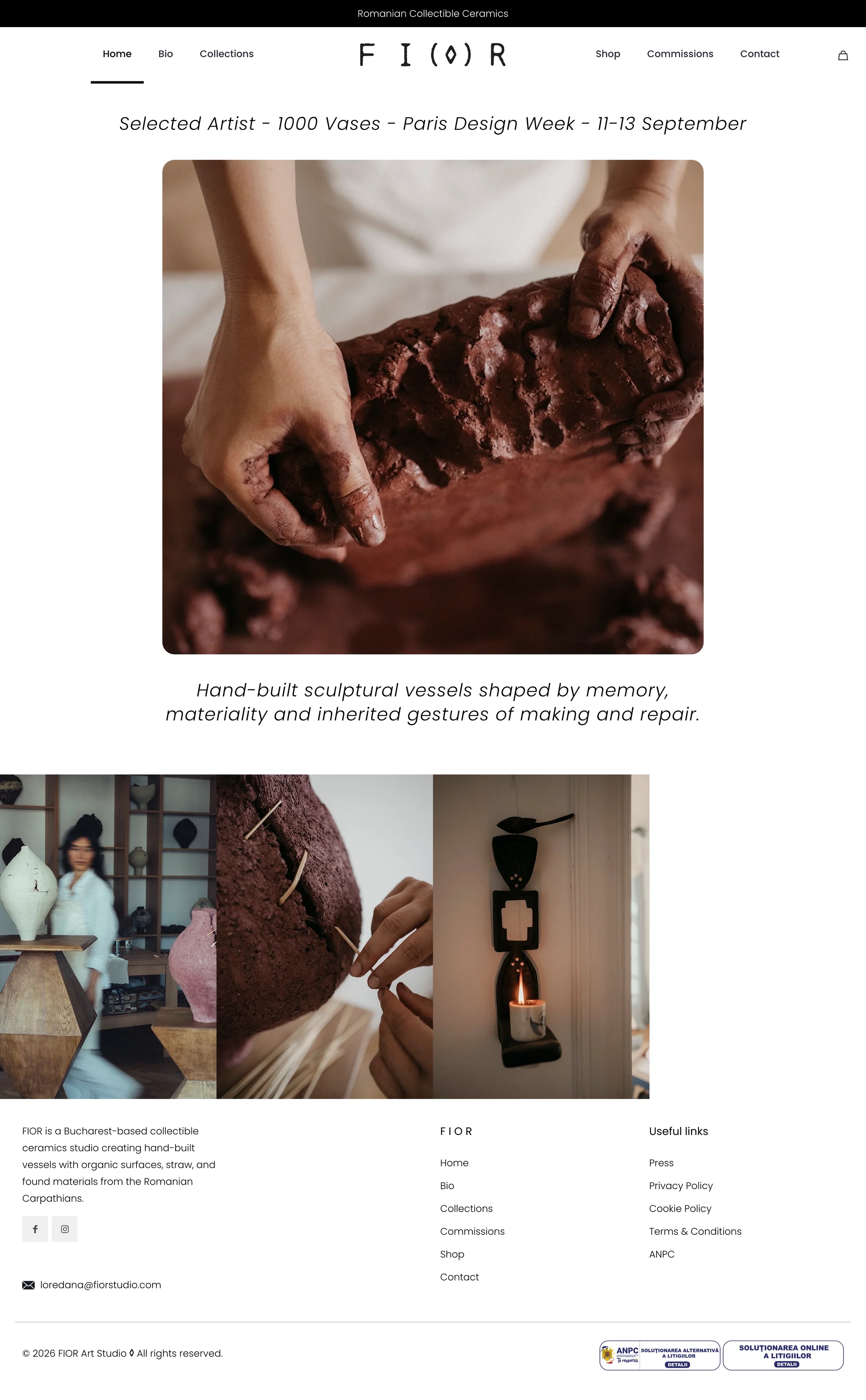 FIOR Studio — Site pentru studio de ceramică de colecție