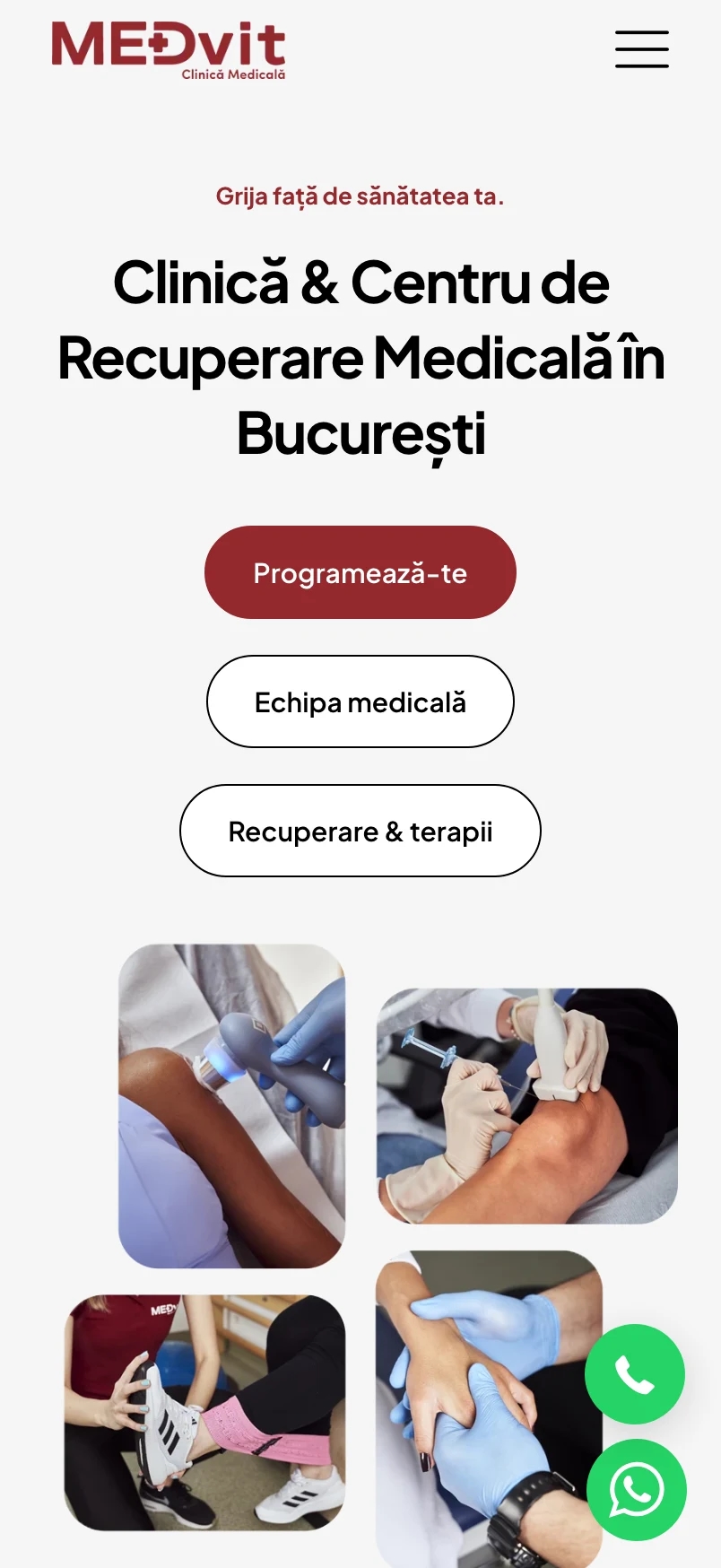 Medvit pe mobil